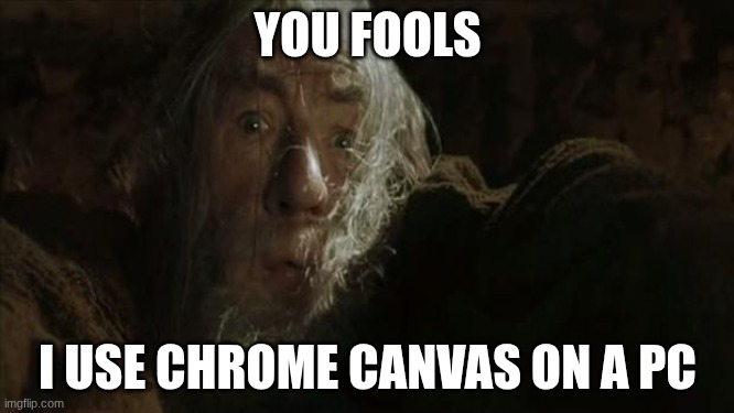 Fly You Fools | YOU FOOLS; I USE CHROME CANVAS ON A PC | image tagged in fly you fools,gay | made w/ Imgflip meme maker