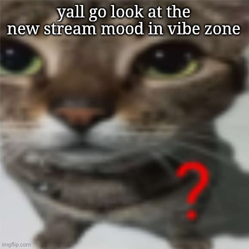 ? | yall go look at the new stream mood in vibe zone | made w/ Imgflip meme maker
