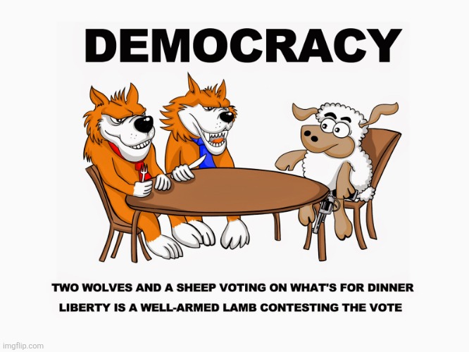 democracy | image tagged in democracy | made w/ Imgflip meme maker