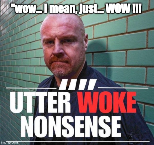 Utter woke nonsense | "wow... I mean, just... WOW !!! | image tagged in utter woke nonsense | made w/ Imgflip meme maker