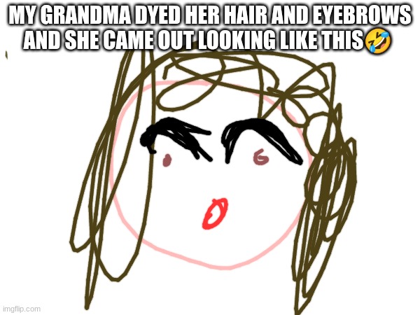 MY GRANDMA DYED HER HAIR AND EYEBROWS AND SHE CAME OUT LOOKING LIKE THIS🤣 | made w/ Imgflip meme maker