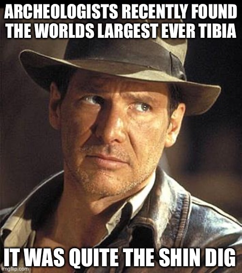 World’s largest shin bone | ARCHEOLOGISTS RECENTLY FOUND THE WORLDS LARGEST EVER TIBIA; IT WAS QUITE THE SHIN DIG | image tagged in indiana jones,archeology,history,bone,grave digger | made w/ Imgflip meme maker