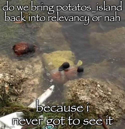 sungerbob | do we bring potatos_island back into relevancy or nah; because i never got to see it | image tagged in sungerbob | made w/ Imgflip meme maker