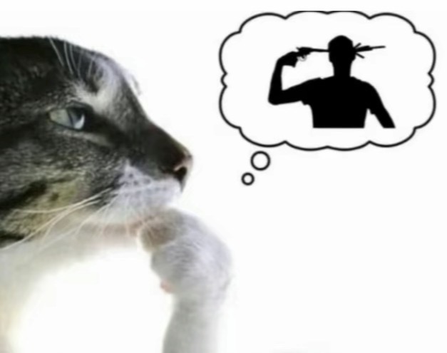 Gun Blank Meme Template