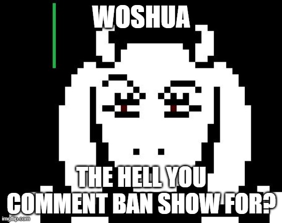 like /srs there was no reason to do  (shadow btw) | WOSHUA; THE HELL YOU COMMENT BAN SHOW FOR? | image tagged in undertale - toriel | made w/ Imgflip meme maker