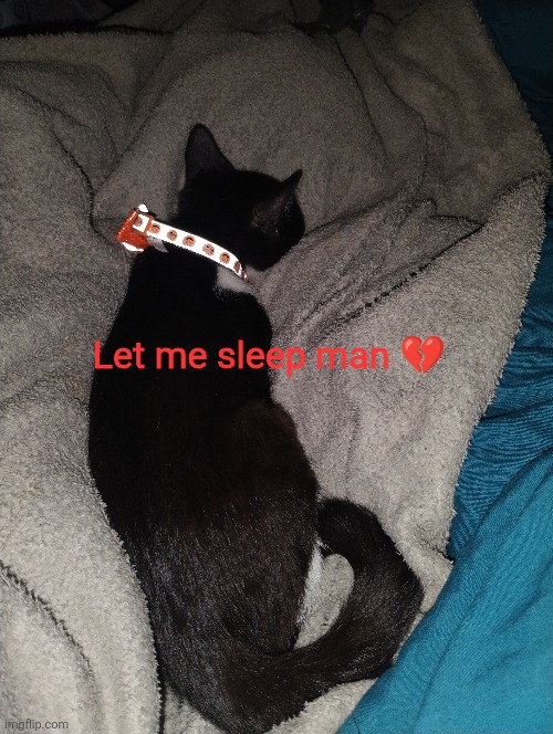 Let me sleep man 💔 | made w/ Imgflip meme maker