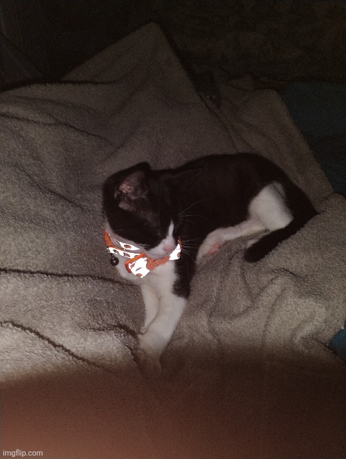 He's been on here for a while | made w/ Imgflip meme maker