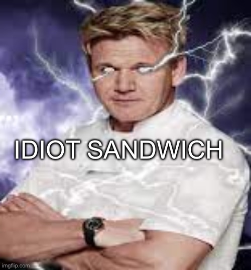 Idiot sandwich | IDIOT SANDWICH | made w/ Imgflip meme maker