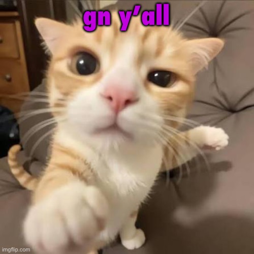 huh??? gwuh??? | gn y’all | image tagged in huh gwuh | made w/ Imgflip meme maker