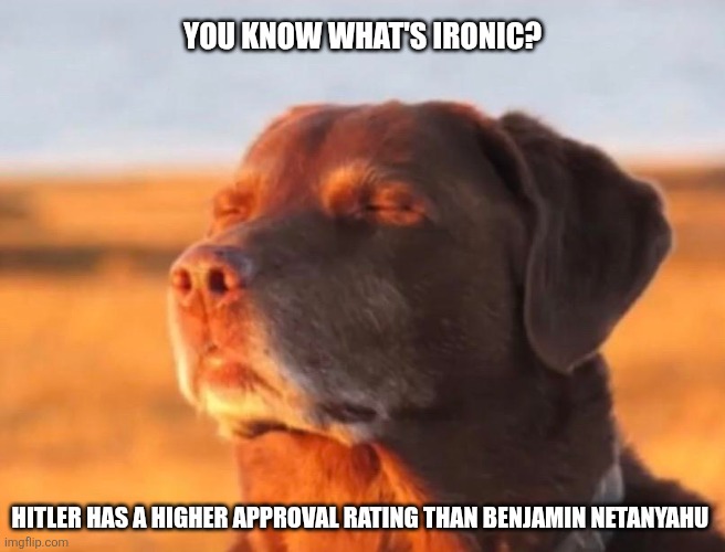Who's a good boy??? | YOU KNOW WHAT'S IRONIC? HITLER HAS A HIGHER APPROVAL RATING THAN BENJAMIN NETANYAHU | image tagged in dog accepting fate | made w/ Imgflip meme maker