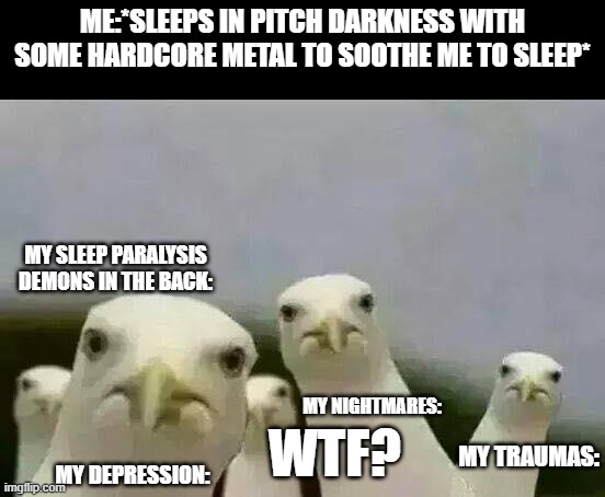 Being a metal head core | ME:*SLEEPS IN PITCH DARKNESS WITH SOME HARDCORE METAL TO SOOTHE ME TO SLEEP*; MY SLEEP PARALYSIS DEMONS IN THE BACK:; MY NIGHTMARES:; WTF? MY TRAUMAS:; MY DEPRESSION: | image tagged in seagulls_mine | made w/ Imgflip meme maker