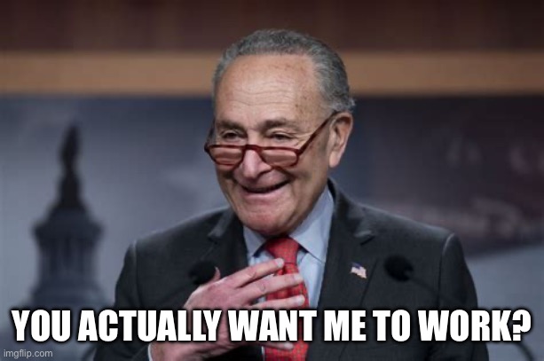 Schumer | YOU ACTUALLY WANT ME TO WORK? | image tagged in senate,democrats,republicans | made w/ Imgflip meme maker