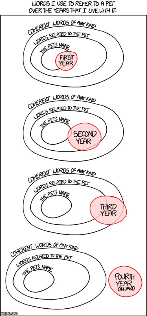 "Seventh year: Perfectly coherent words, but in the pet's language, not [Randall's]." | image tagged in pet,name,related,coherent,words,diagram | made w/ Imgflip meme maker