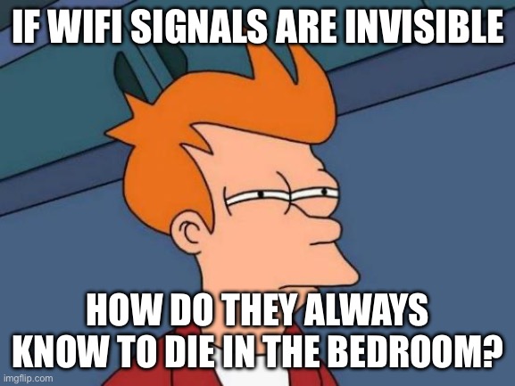 IF WIFI SIGNALS ARE INVISIBLE; HOW DO THEY ALWAYS KNOW TO DIE IN THE BEDROOM? | IF WIFI SIGNALS ARE INVISIBLE; HOW DO THEY ALWAYS KNOW TO DIE IN THE BEDROOM? | image tagged in memes,futurama fry,wifi drops,wifi,bedroom,die | made w/ Imgflip meme maker