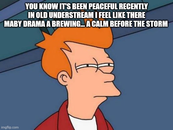 Anyone got that weird feeling? | YOU KNOW IT'S BEEN PEACEFUL RECENTLY IN OLD UNDERSTREAM I FEEL LIKE THERE MABY DRAMA A BREWING... A CALM BEFORE THE STORM | image tagged in memes,futurama fry | made w/ Imgflip meme maker