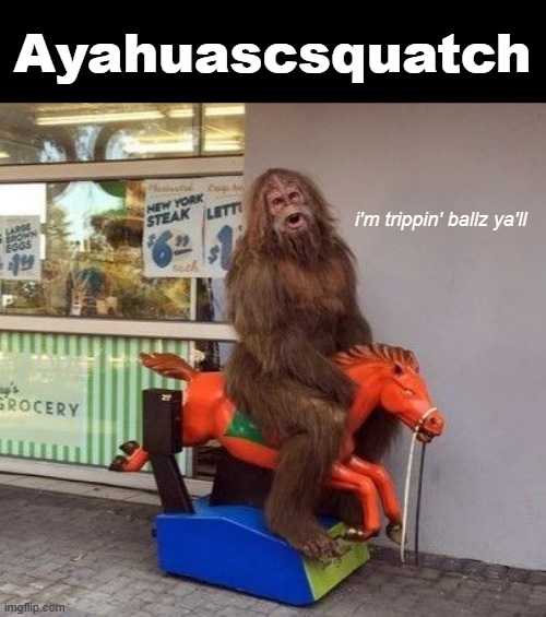 That's some potent tea! | Ayahuascsquatch; i'm trippin' ballz ya'll | image tagged in ayahuasca,sasquatch | made w/ Imgflip meme maker