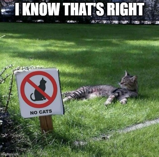 I KNOW THAT'S RIGHT | made w/ Imgflip meme maker
