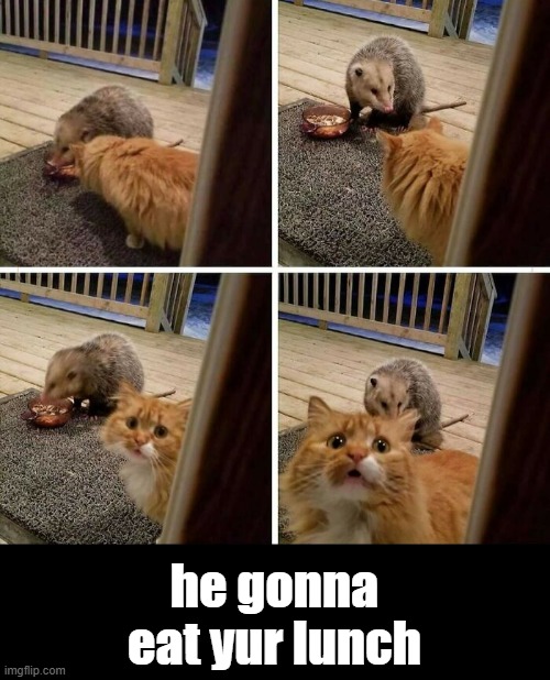 he gonna eat yur lunch | made w/ Imgflip meme maker