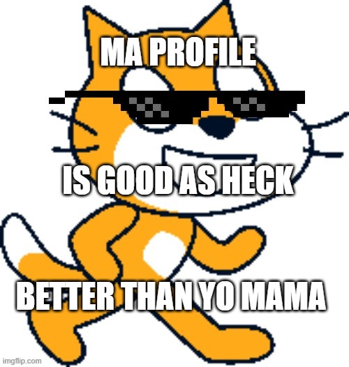 Scratch Cat Profile | MA PROFILE; IS GOOD AS HECK; BETTER THAN YO MAMA | image tagged in mlg scratch cat | made w/ Imgflip meme maker