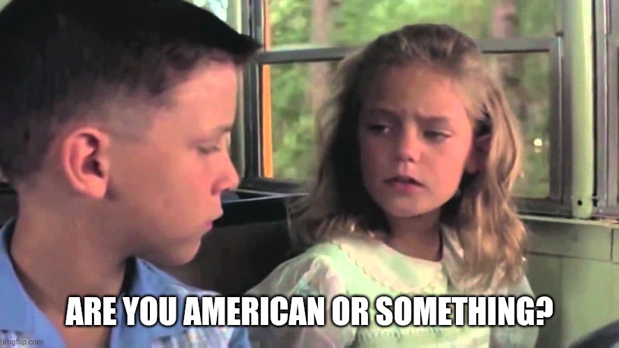 Are you stupid or something | ARE YOU AMERICAN OR SOMETHING? | image tagged in are you stupid or something,american,gump | made w/ Imgflip meme maker