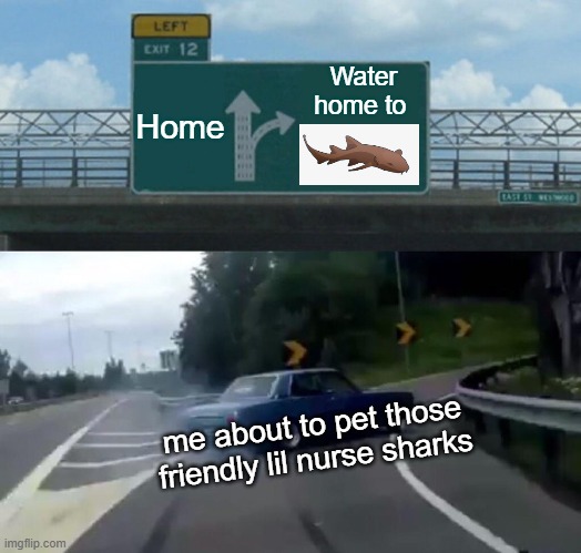 NURSE SHARKSSSSSS :D | Home; Water home to; me about to pet those friendly lil nurse sharks | image tagged in memes,left exit 12 off ramp,sharks | made w/ Imgflip meme maker