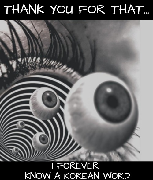 Hypnotizing | THANK YOU FOR THAT... I FOREVER  KNOW A KOREAN WORD | image tagged in hypnotizing | made w/ Imgflip meme maker