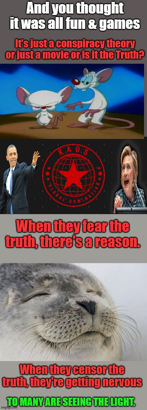 And you thought it was all fun & games; It's just a conspiracy theory or just a movie or is it the Truth? When they fear the truth, there's a reason. When they censor the truth, they're getting nervous; TO MANY ARE SEEING THE LIGHT. | image tagged in memes,satisfied seal | made w/ Imgflip meme maker