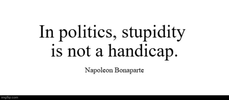 Indeed | image tagged in napoleon,politics,politicians,mp,parliament,government | made w/ Imgflip meme maker