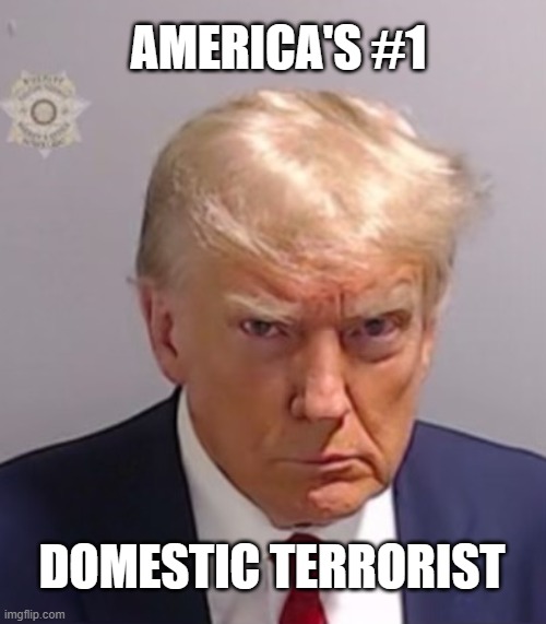 Sorry no more MAGA circle Js | AMERICA'S #1; DOMESTIC TERRORIST | image tagged in donald trump mugshot,terrorist,pedo,criminal,maga | made w/ Imgflip meme maker