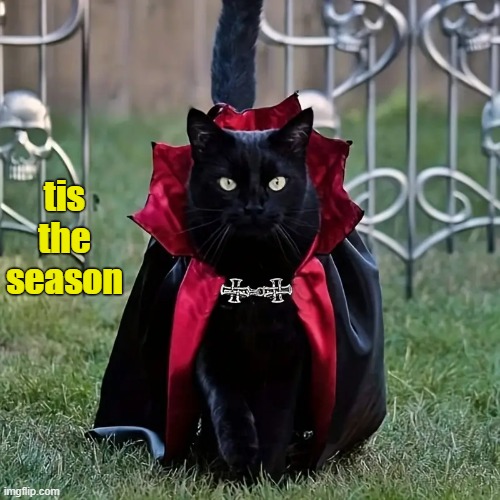 tis the season | made w/ Imgflip meme maker