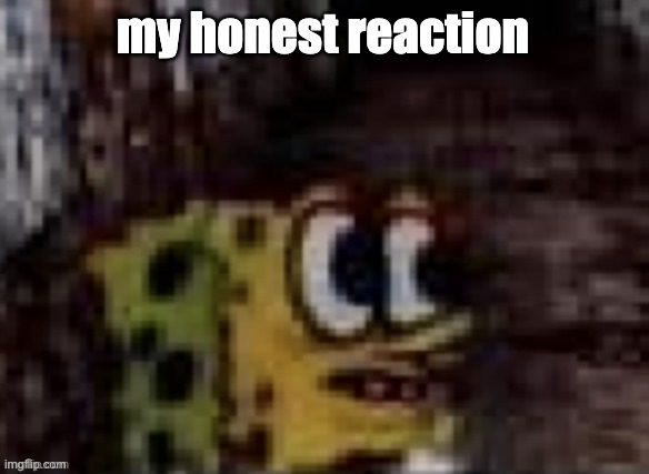 spunch bop trauma | my honest reaction | image tagged in spunch bop trauma | made w/ Imgflip meme maker