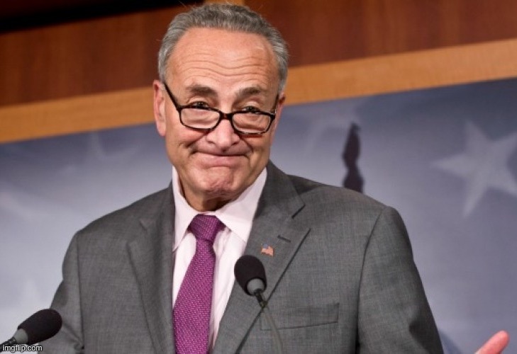 OK Schumer | image tagged in ok schumer | made w/ Imgflip meme maker