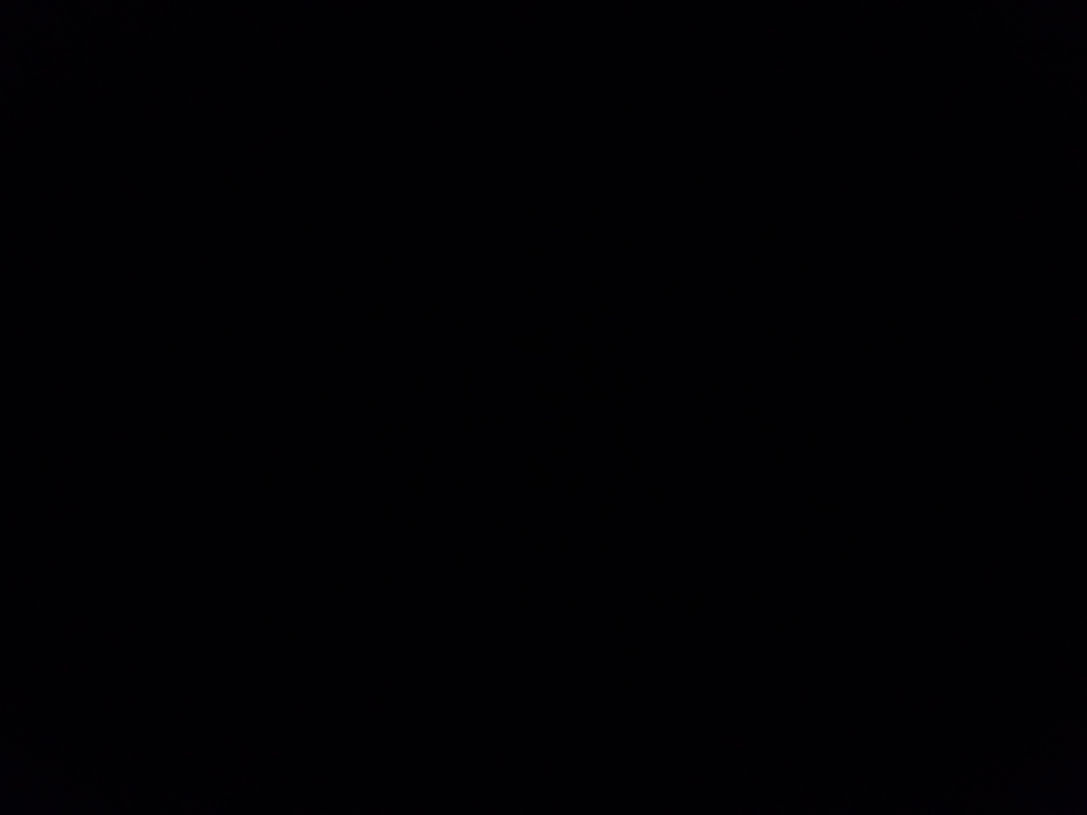 All black all the time Blank Meme Template