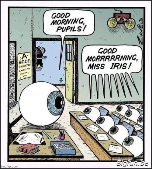 image tagged in comics,big pun,eyeballs,miss iris,pupils,good morning | made w/ Imgflip meme maker