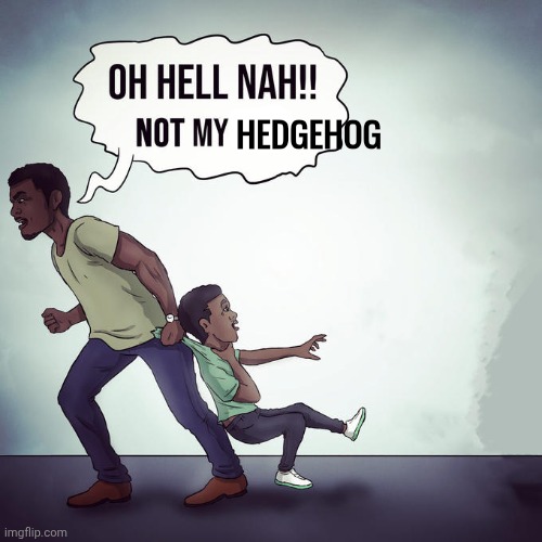 Oh hell nah not my son | HEDGEHOG | image tagged in oh hell nah not my son | made w/ Imgflip meme maker