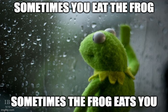 MMm frogs | SOMETIMES YOU EAT THE FROG; SOMETIMES THE FROG EATS YOU | image tagged in kermit window | made w/ Imgflip meme maker