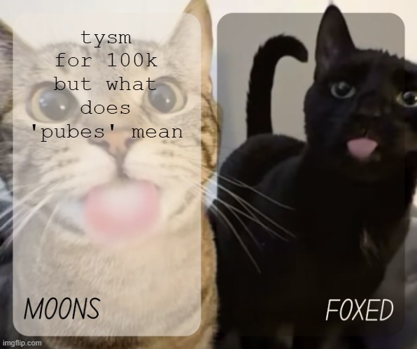 moons and foxed kitty temp | tysm for 100k but what does 'pubes' mean | image tagged in moons and foxed kitty temp | made w/ Imgflip meme maker