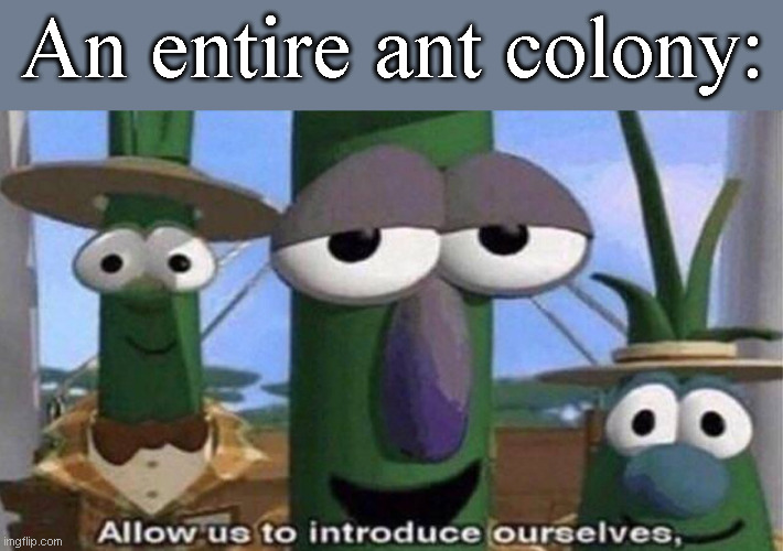 VeggieTales 'Allow us to introduce ourselfs' | An entire ant colony: | image tagged in veggietales 'allow us to introduce ourselfs' | made w/ Imgflip meme maker