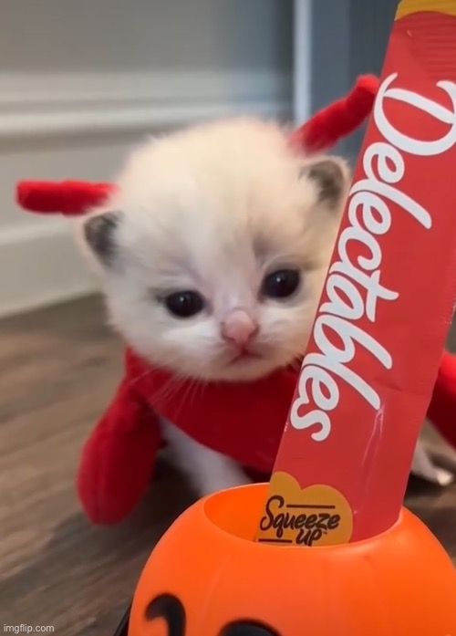 Literally me on October 31st | made w/ Imgflip meme maker