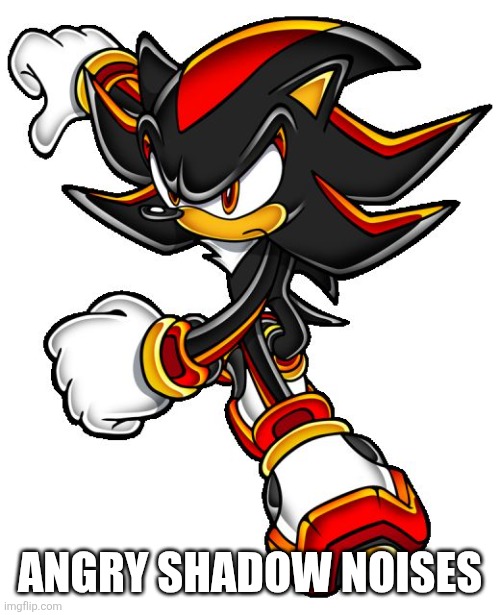 Shadow the hedgehog | ANGRY SHADOW NOISES | image tagged in shadow the hedgehog | made w/ Imgflip meme maker
