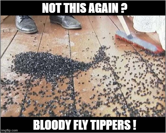 Some People Are So Ignorant ! | NOT THIS AGAIN ? BLOODY FLY TIPPERS ! | image tagged in stupid people,flies,fly tipping | made w/ Imgflip meme maker