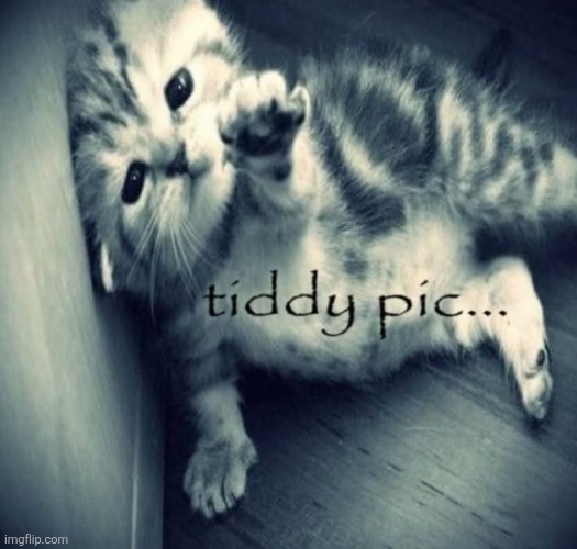 Send tiddy pic (only guys no homo) | made w/ Imgflip meme maker