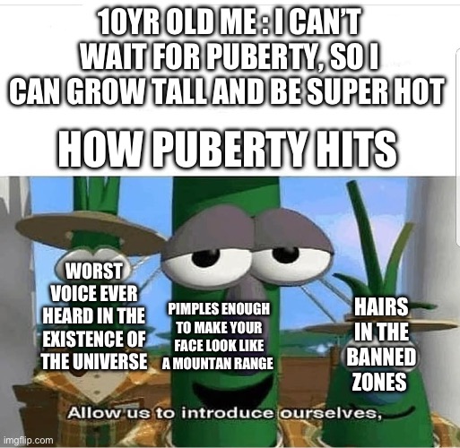 So this is how it feels | 10YR OLD ME : I CAN’T WAIT FOR PUBERTY, SO I CAN GROW TALL AND BE SUPER HOT; HOW PUBERTY HITS; WORST VOICE EVER HEARD IN THE EXISTENCE OF THE UNIVERSE; PIMPLES ENOUGH TO MAKE YOUR FACE LOOK LIKE A MOUNTAN RANGE; HAIRS IN THE BANNED ZONES | image tagged in allow us to introduce ourselves,puberty | made w/ Imgflip meme maker