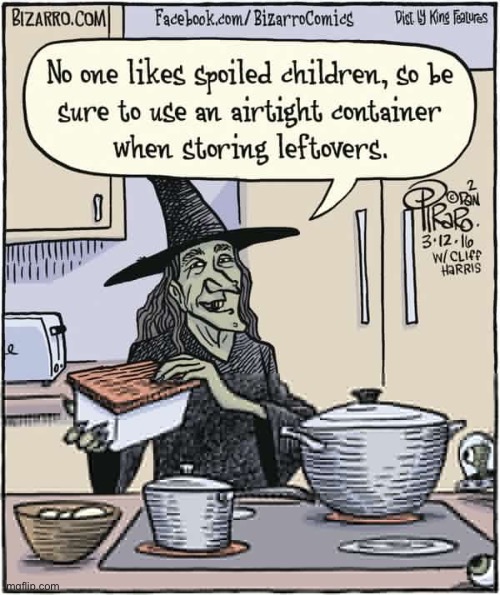 Bizarro Comics | image tagged in comics,bizarro comics,witch,cooking show,spoiled children,leftovers | made w/ Imgflip meme maker
