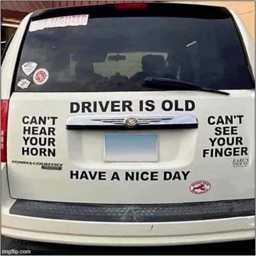 The Advantages Of Age ! | image tagged in cats,old age,i don't care | made w/ Imgflip meme maker