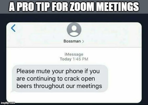 Here's a pro tip for zoom meetings.   ---   funny   --- | A PRO TIP FOR ZOOM MEETINGS | image tagged in gaming,zoom,meeting,funny,humor,computers | made w/ Imgflip meme maker