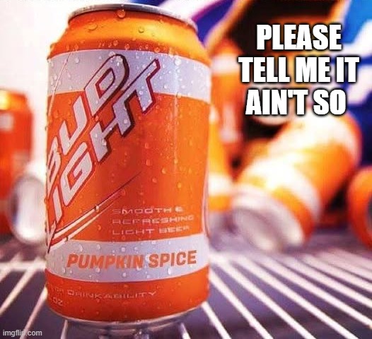 Pumpkin Spice Bud Light? Please tell me this isn't real. | PLEASE TELL ME IT AIN'T SO | image tagged in funny,budweiser,beer,pumpkin spice,humor,play on words | made w/ Imgflip meme maker