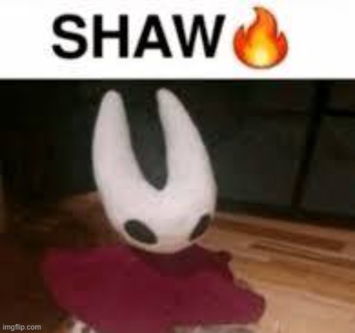 SHAW? | image tagged in shaw,hornet,hollow knight,silksong | made w/ Imgflip meme maker