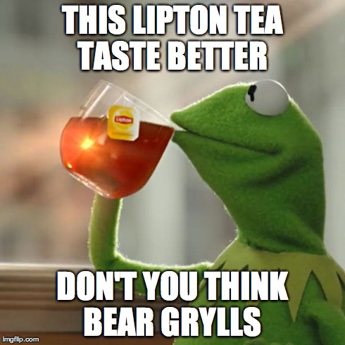 But That's None Of My Business Meme | THIS LIPTON TEA TASTE BETTER  DON'T YOU THINK BEAR GRYLLS | image tagged in memes,but thats none of my business,kermit the frog,funny,bear grylls,high expectations asian father | made w/ Imgflip meme maker