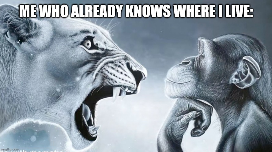 Angry Lion vs Chill Monkey | ME WHO ALREADY KNOWS WHERE I LIVE: | image tagged in angry lion vs chill monkey | made w/ Imgflip meme maker